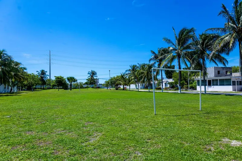 Cancha de fútbol de pasto con porterías y palmeras